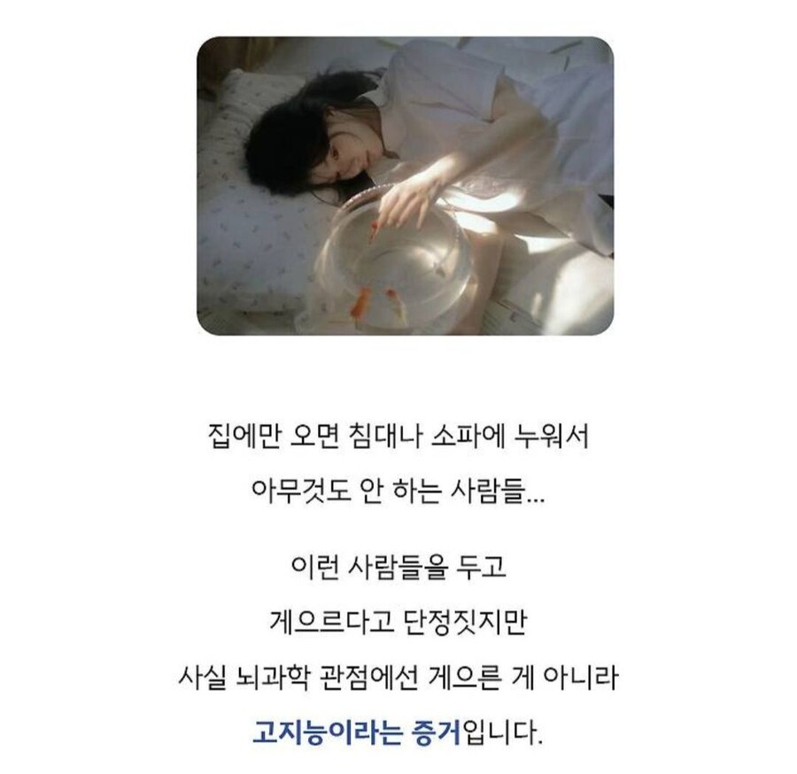이런게 전문가지_2.png