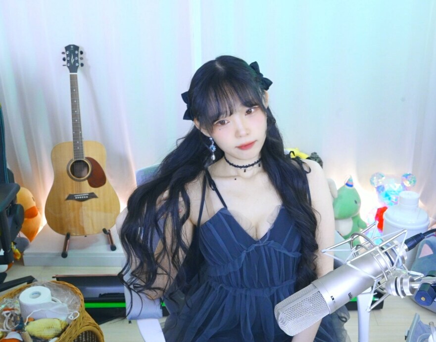 내가 좋아하는 스트리머_2.jpg