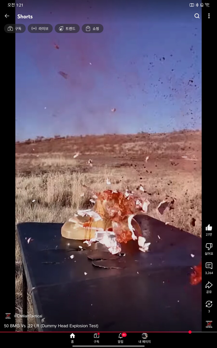 22lr vs 50bmg 헤드샷 비교_6.png