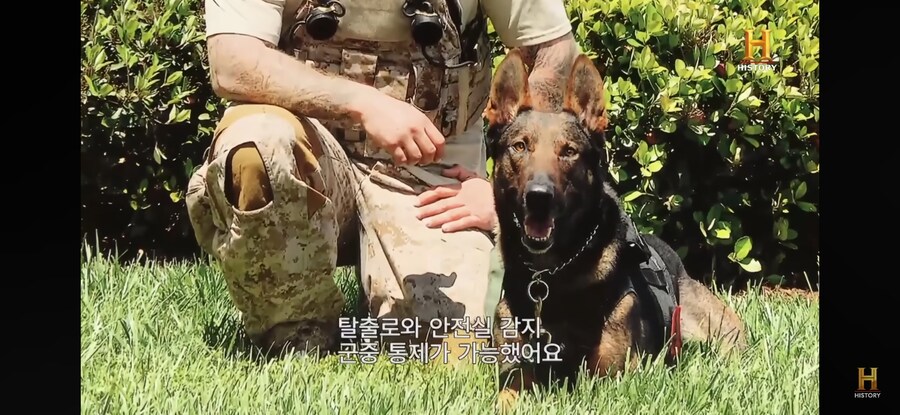 일개 짬찌가 중요 임무에 동원된 이유_4.jpg
