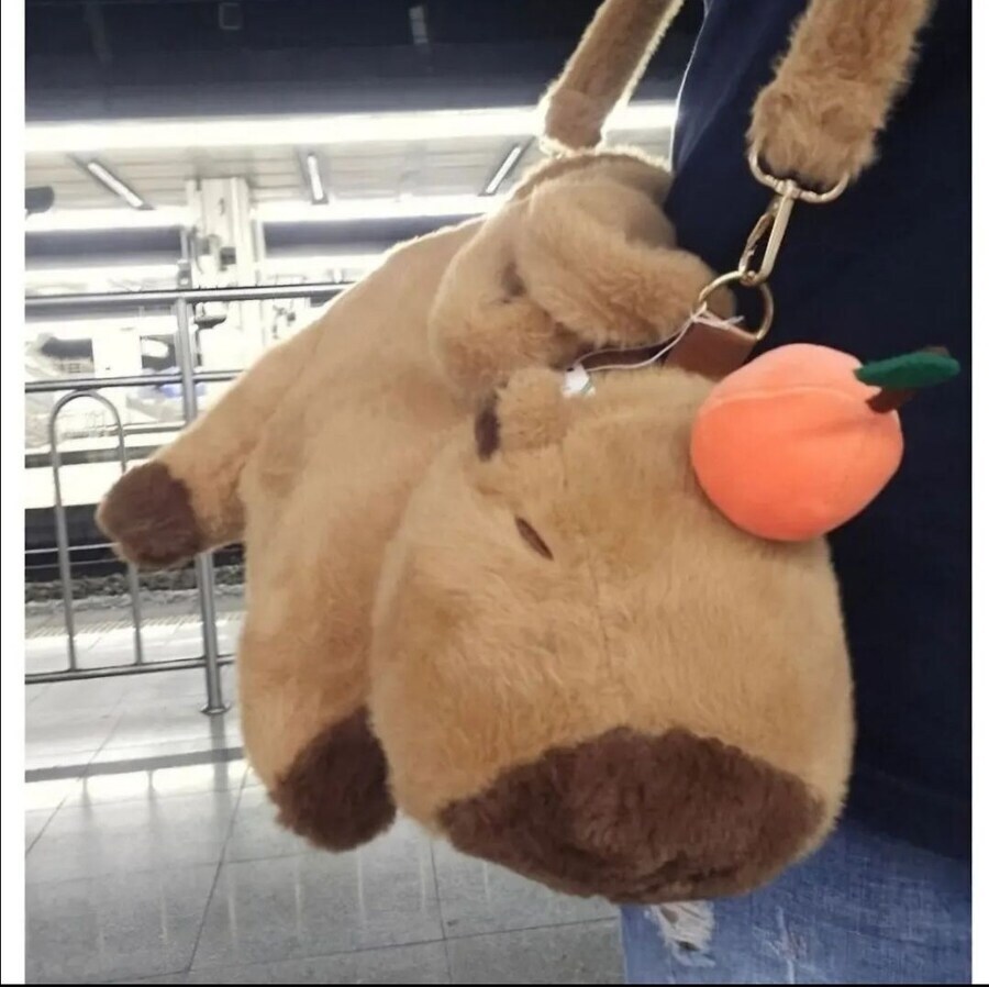 체게바라 가방 장만한거 자랑하다 욕먹은 웃대인.jpg