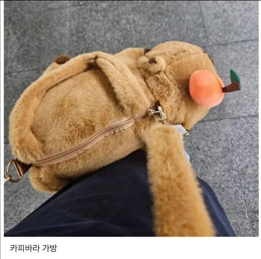 체게바라 가방 장만한거 자랑하다 욕먹은 웃대인.jpg_2.jpg