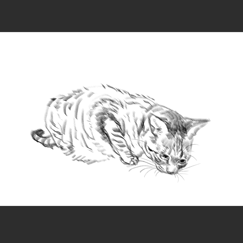 고양이) 우리집 고양이그림 보고가셈_9.png