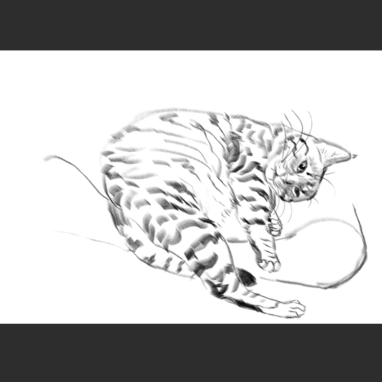 고양이) 우리집 고양이그림 보고가셈_11.png