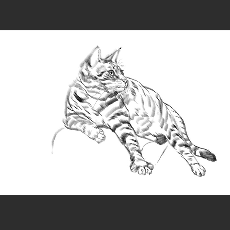 고양이) 우리집 고양이그림 보고가셈_12.png