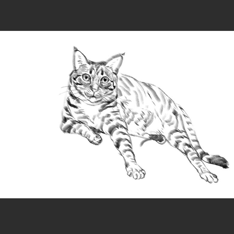 고양이) 우리집 고양이그림 보고가셈_13.png