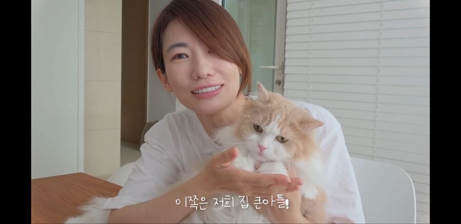 고양이 열마리 키우는 유튜버의 비밀_1.jpg