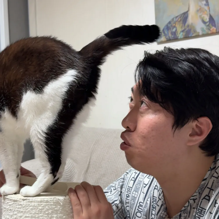 고양이 유투버중에 가장 의문이 많이 남은 사람_1.webp
