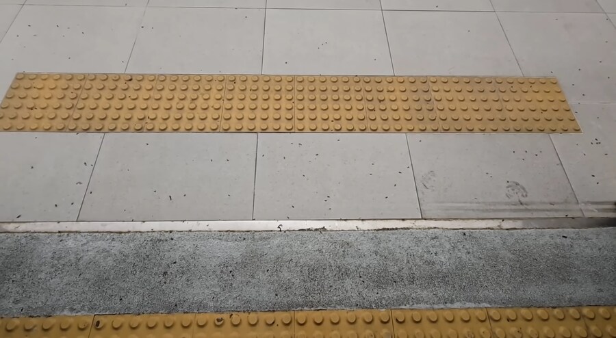 공항에서도 난리난 러브버그_3.jpg
