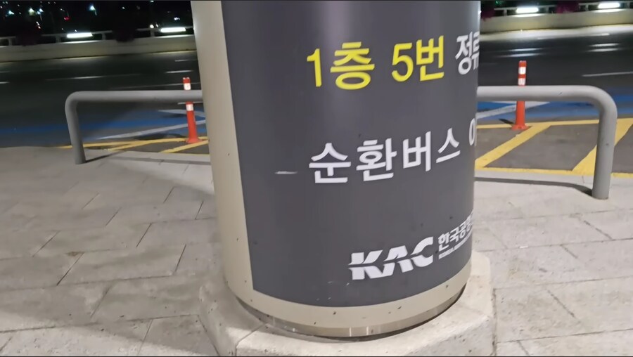 공항에서도 난리난 러브버그_4.jpg