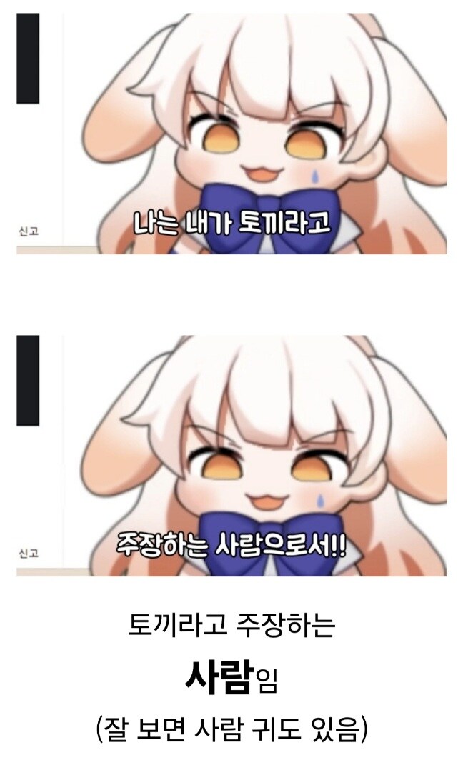 버튜버) 라디유는 본인 피셜 개가 아니다. 그러나 토끼도 아니다-2.jpg_2.jpg