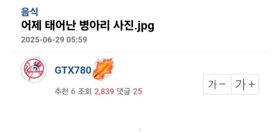 병아리 부화 성공했네요.jpg_1.jpg