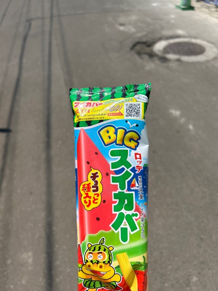 이제 슬슬 이게 맛있어지는 시기_1.jpg