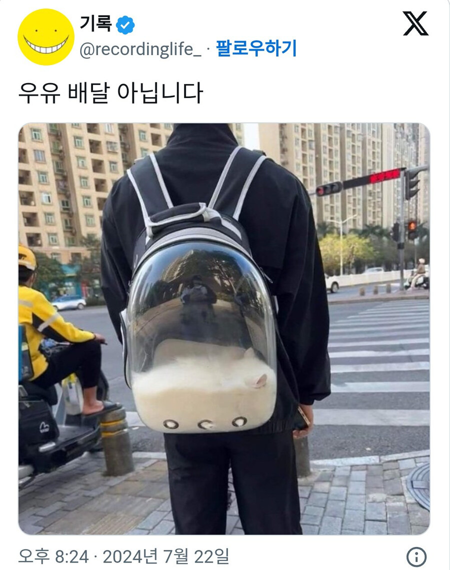 고양이 액체설_4.jpg