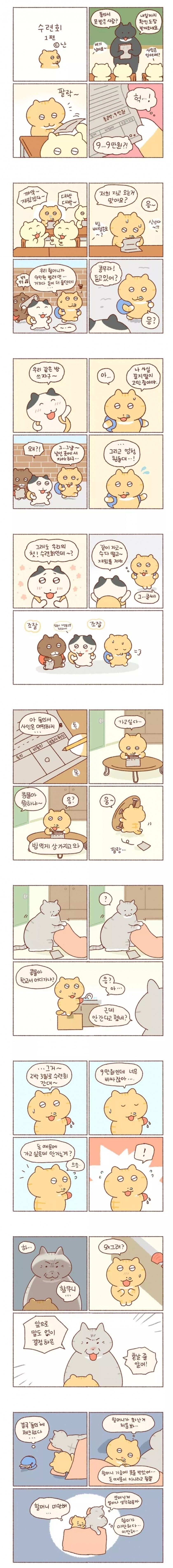 수련회 떄문에 할머니가 화난 만화.manhwa_1.jpg