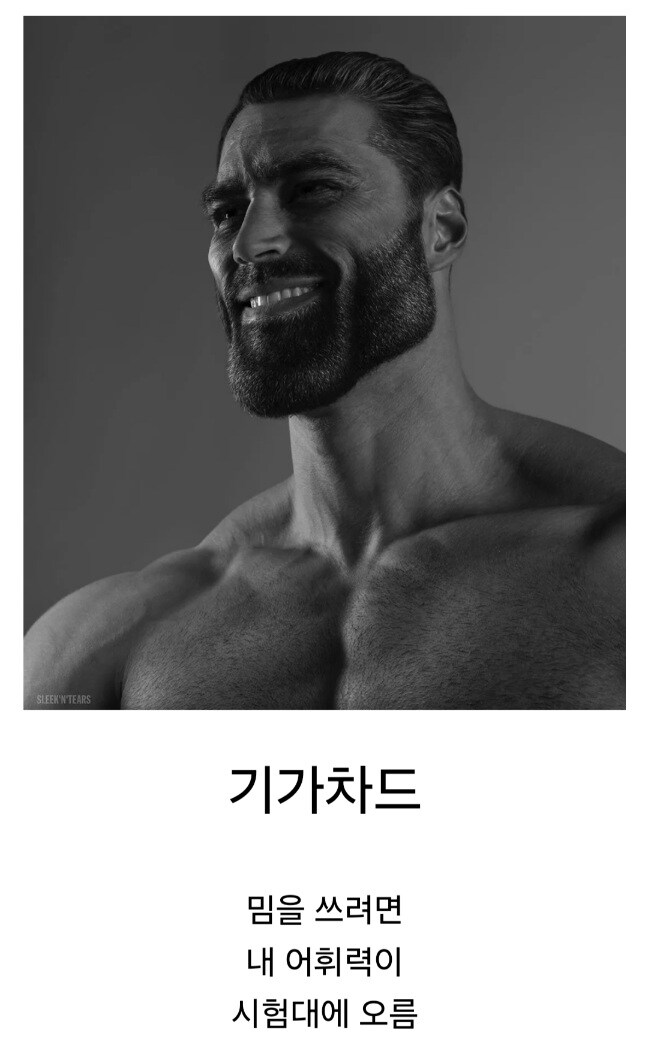 의외로 초기의 열기에 비해 그렇게까지 흥하지는 못한 밈.jpg_1.jpg