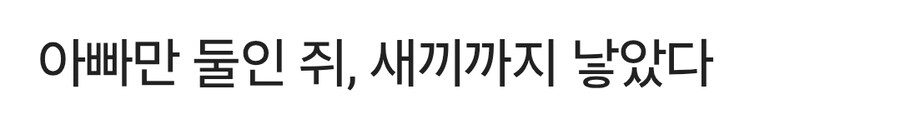 수컷 사이에서 태어난 쥐, 새끼까지 낳았다_1.jpg