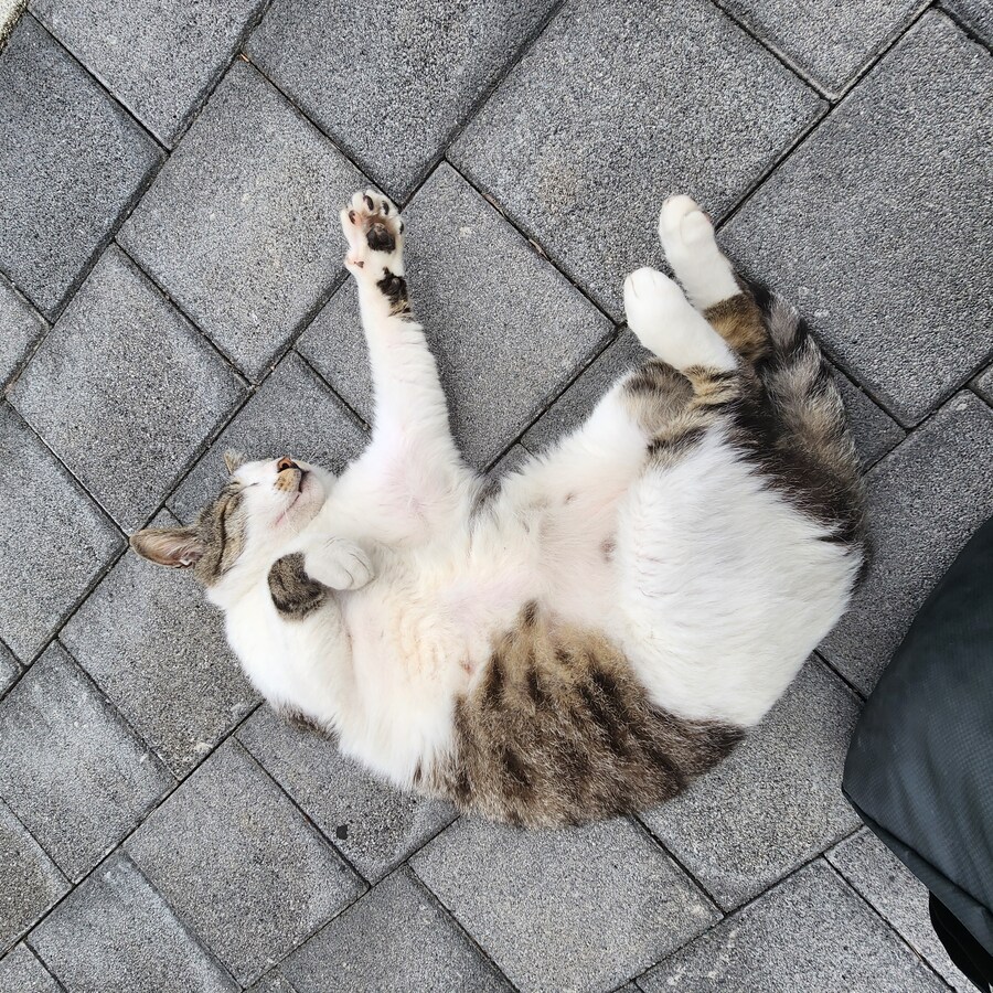 마트에 갈 생각이었는데_1.jpg