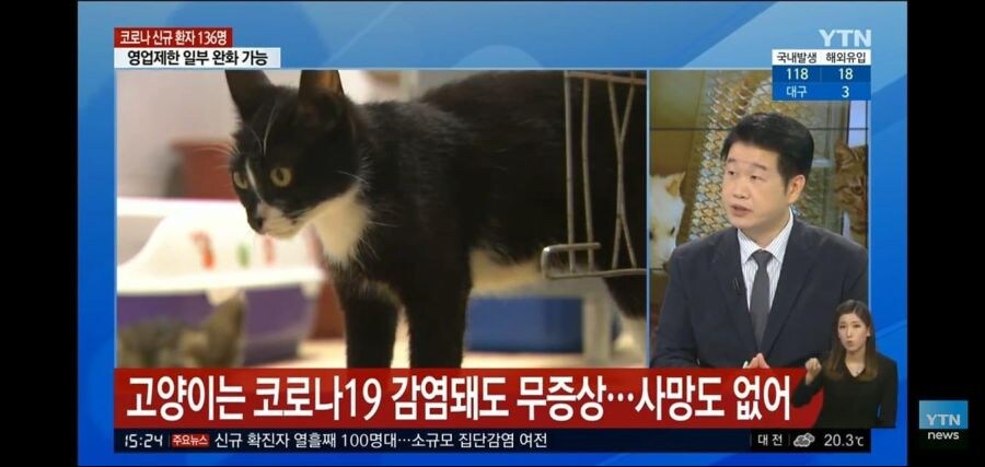 코로나19시대 무적이었던 생명체_1.jpg
