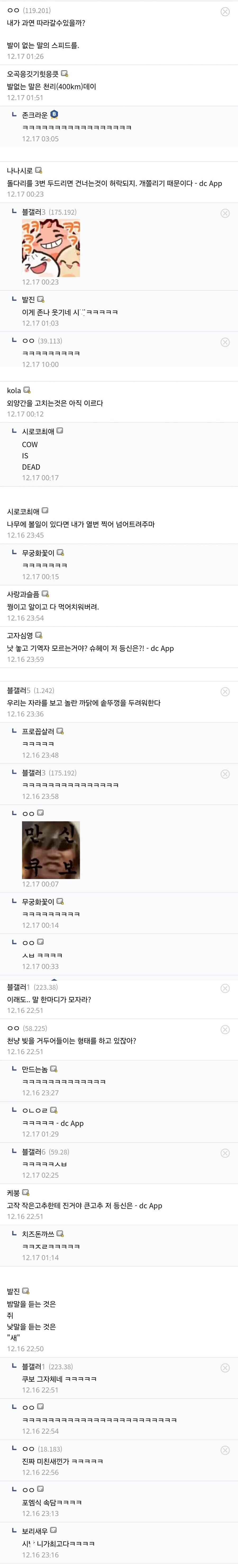 블리치식 속담.jpg_1.jpg