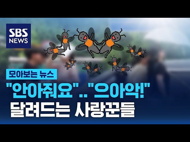 러브버그는 이게 제일 웃겼는데_1.jpg