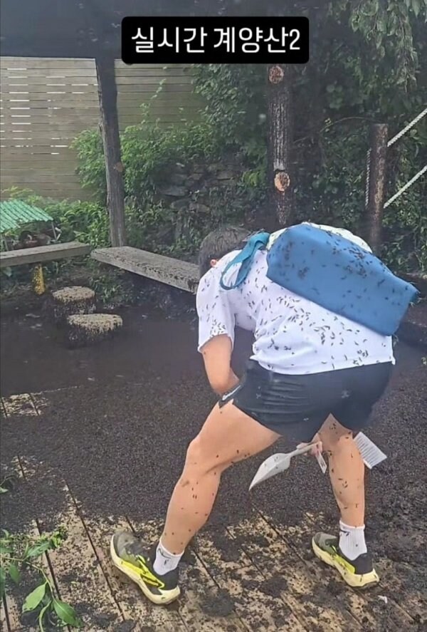 러브버그 근황_1.jpg
