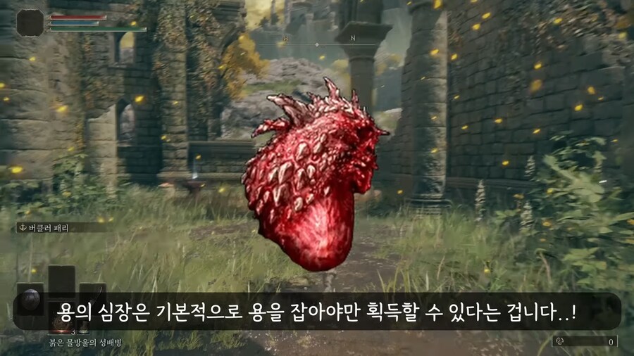 엘든링]용찬만 써서 엔딩까지 보기_6.png