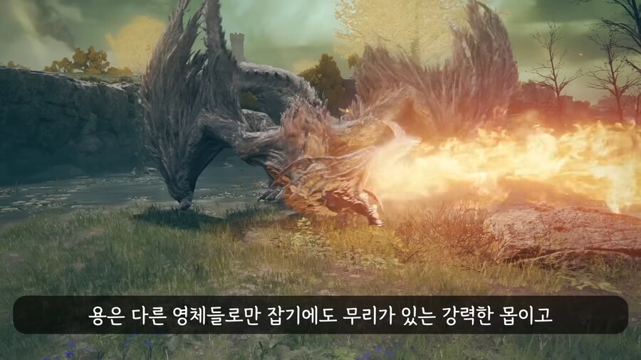 엘든링]용찬만 써서 엔딩까지 보기_7.png