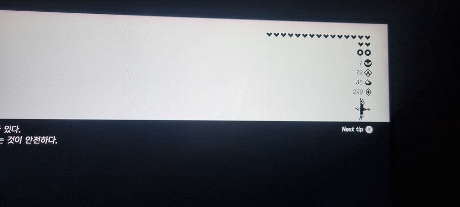 스2 코르그999글리치 성공했어요_2.jpg