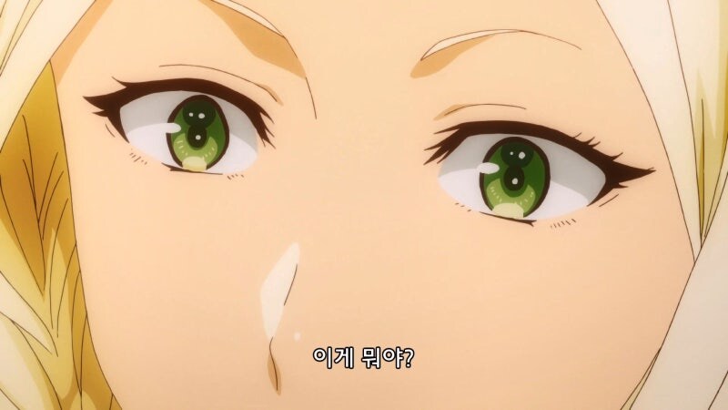 비건엘프라고 음해당하는 캐릭터_25.jpg