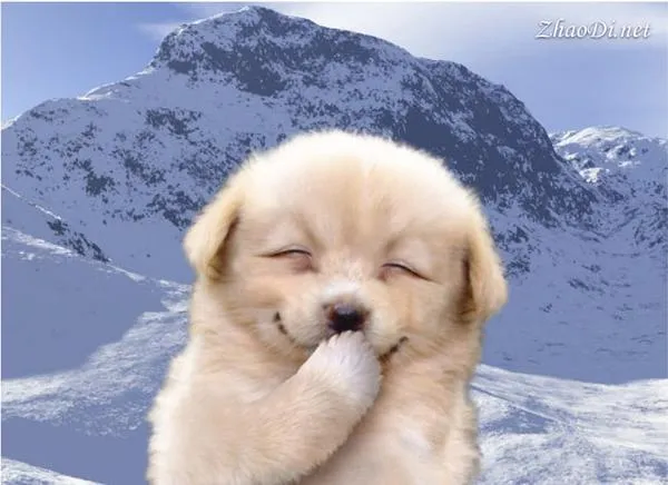 창세기전) 두 여신의 이야기 + 추가 스토리 - (스포 + 스압)_19.webp