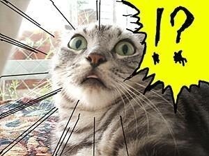 창세기전) 두 여신의 이야기 + 추가 스토리 - (스포 + 스압)_126.jpg