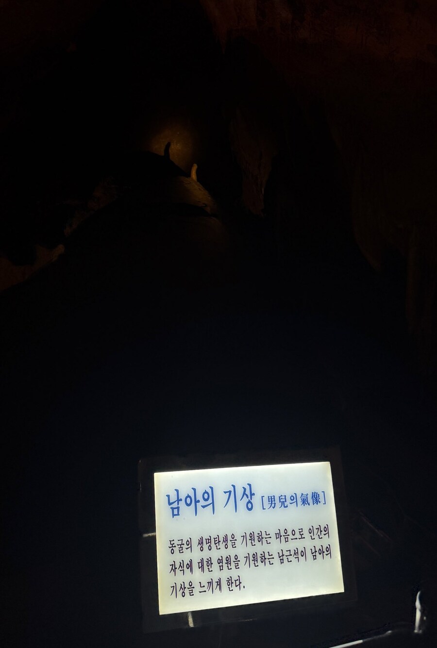 발기_1.jpg