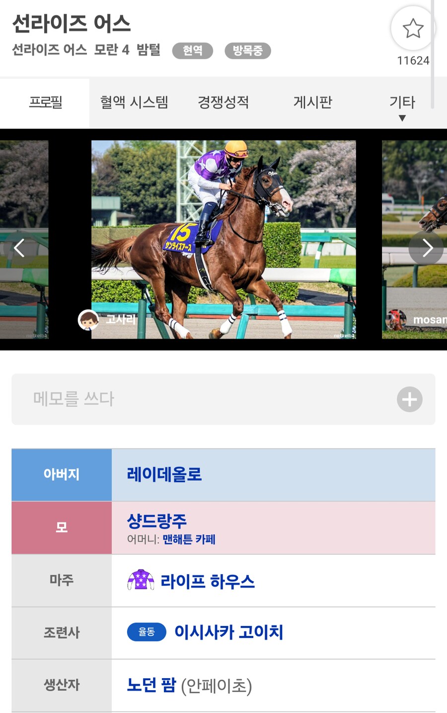 경마,말딸)레이 데 오로 평이 쉽게 바뀌지 않는 이유(...)_1.png