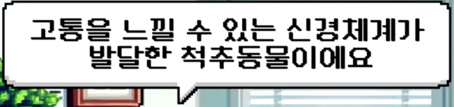 포켓몬배틀은 동물학대인가_5.png