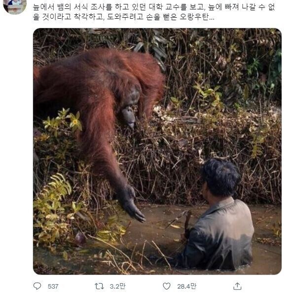 이보게 어서 손을 잡으시게
