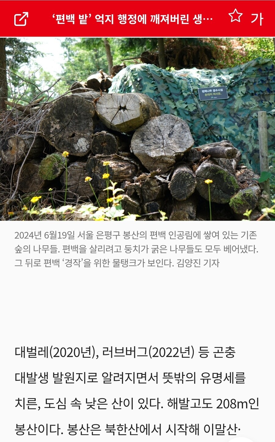 러브버그가 난리여도 방제가 쉽지 않는 이유_3.jpg