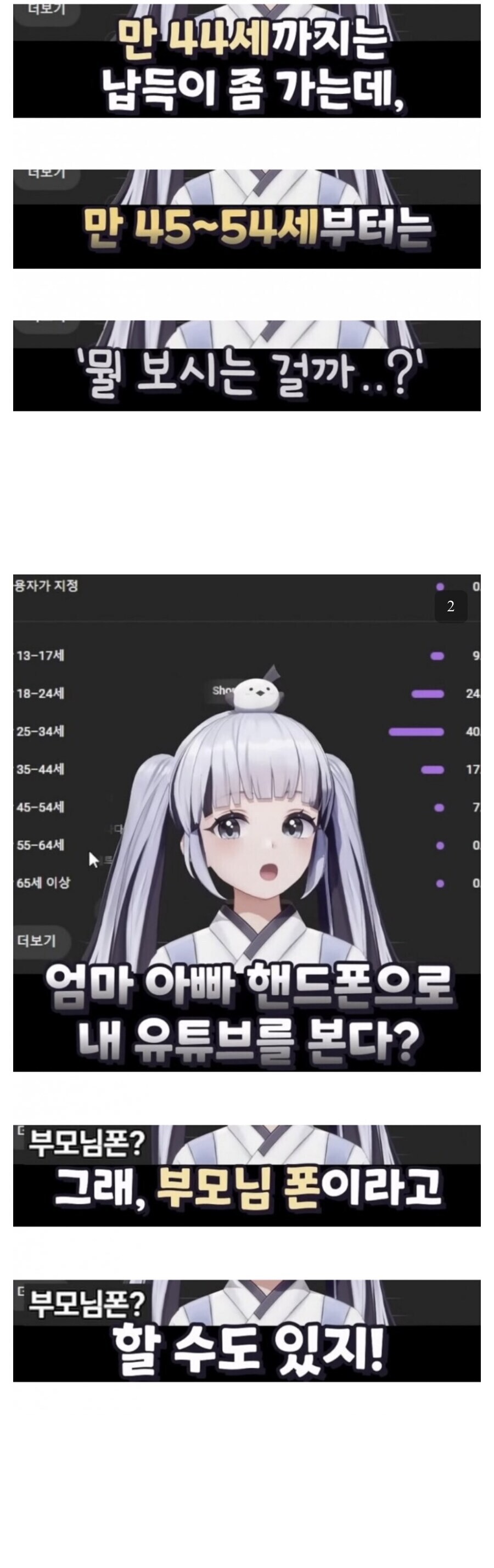 버튜버 시청연령대 분석_1.jpg