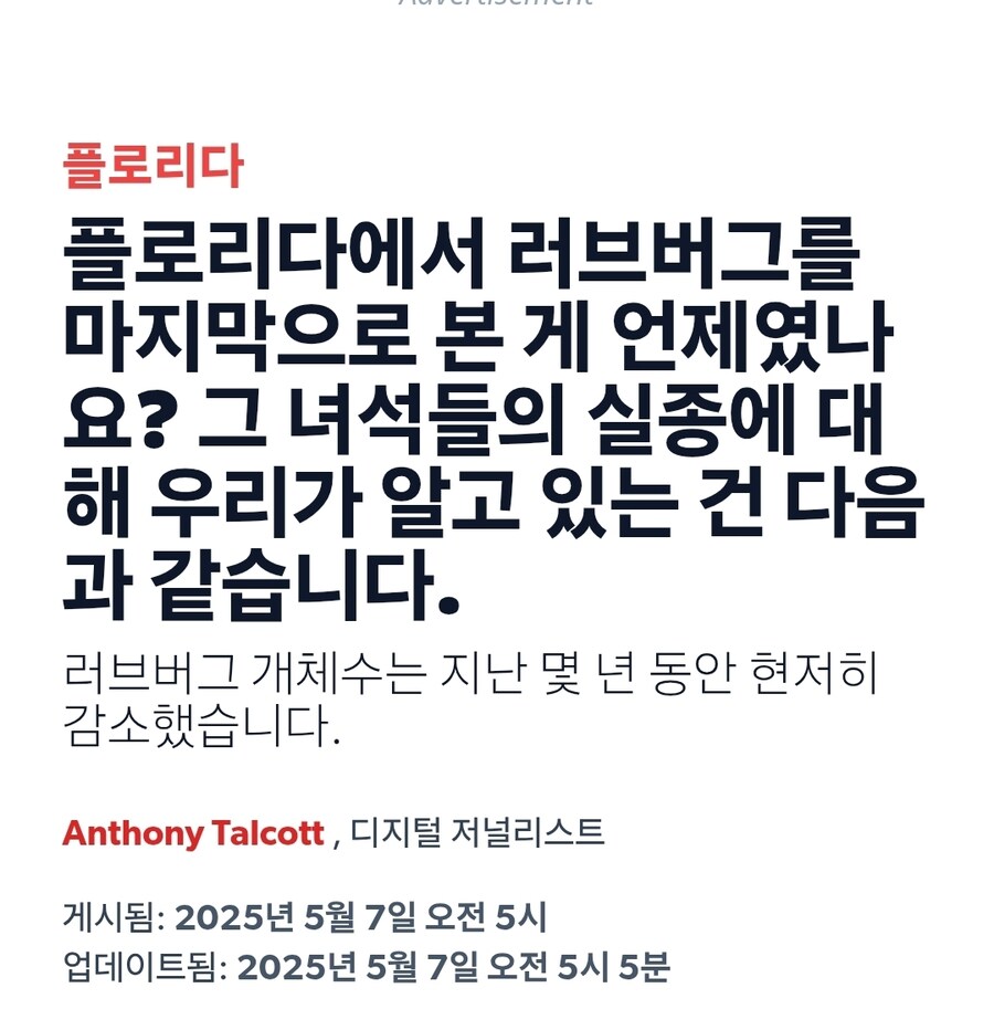 러브버그 처치하는 법_3.jpg