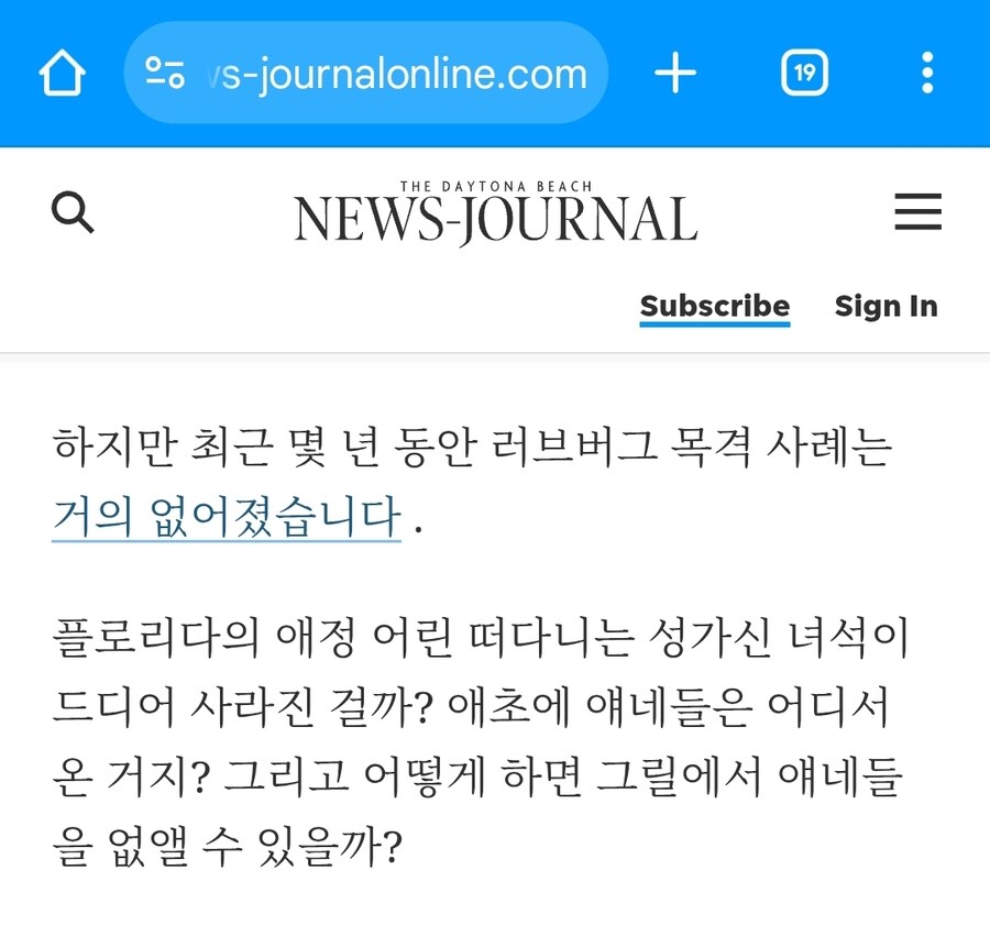 러브버그 처치하는 법_4.jpg