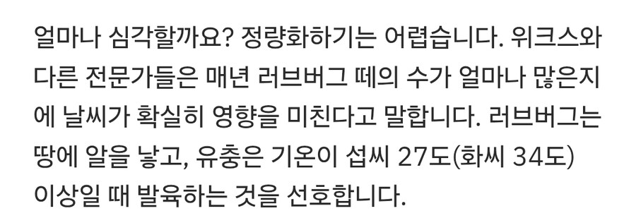 러브버그 처치하는 법_5.jpg