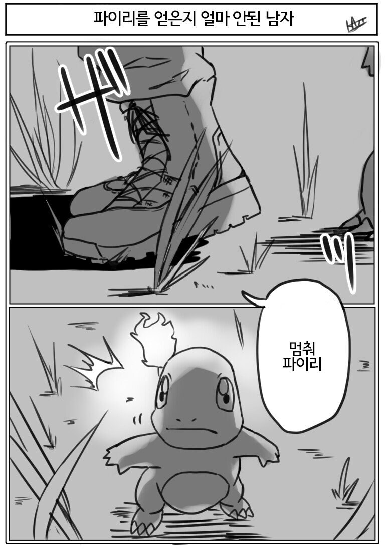 파이리를 잘 모르는 남자_1.png