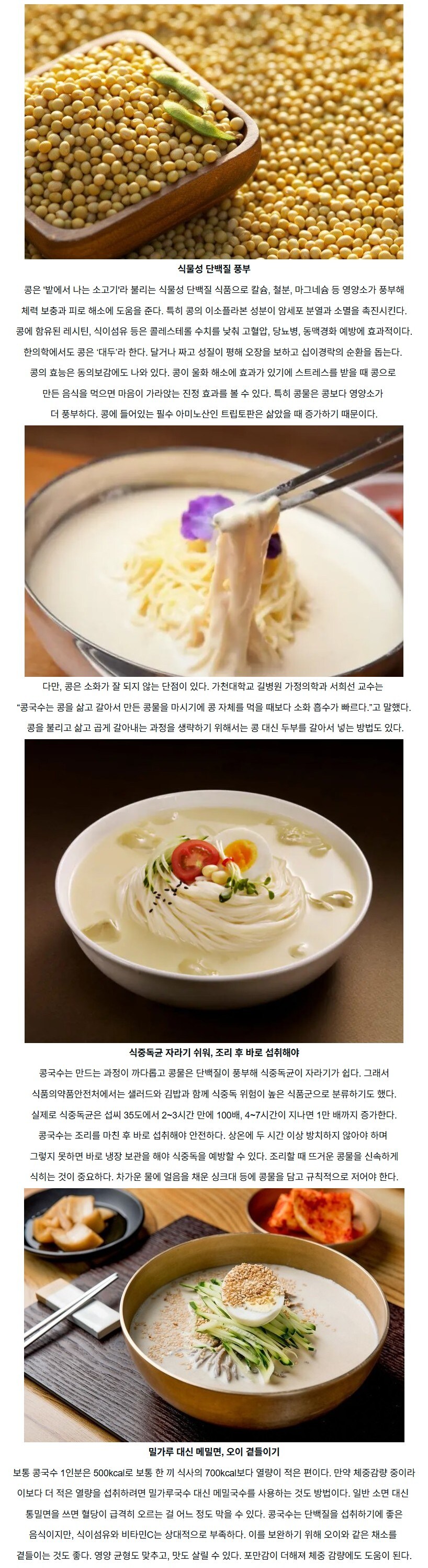 여름에 제격, 콩국수의 장단점 및 주의할 점_1.jpg