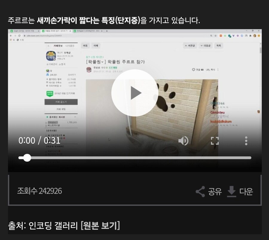 ㅇㅇㄱ)방금 ㅇㅅㄷ 빨간약 저작권 관련 이야기는 좀 다르게 봐야할듯?_2.jpg