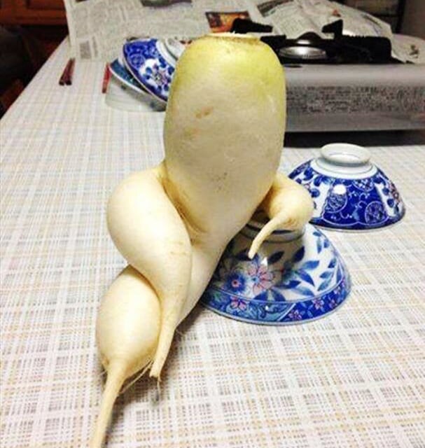 무성애자가 봐도 꼴리는 짤_1.jpg