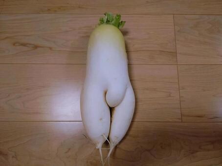 무성애자가 봐도 꼴리는 짤_2.jpg