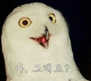 10년 넘은짤들_3.jpg