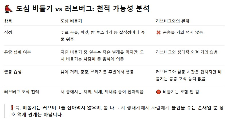 채찍피디한테 비둘기로 러브버그 퇴치하는 방법 물어봄_2.png