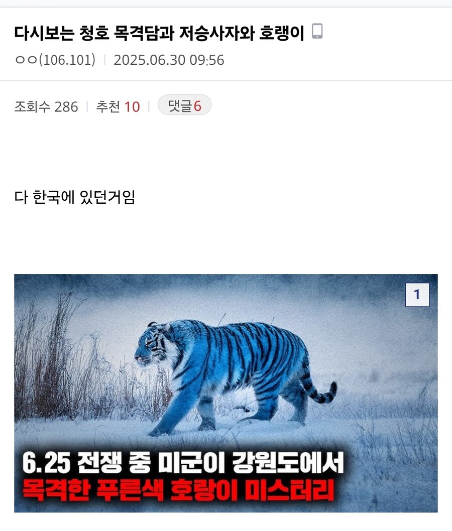 케이팝) 제작진 : 어... 네 맞아요. 고증이에요._1.jpg