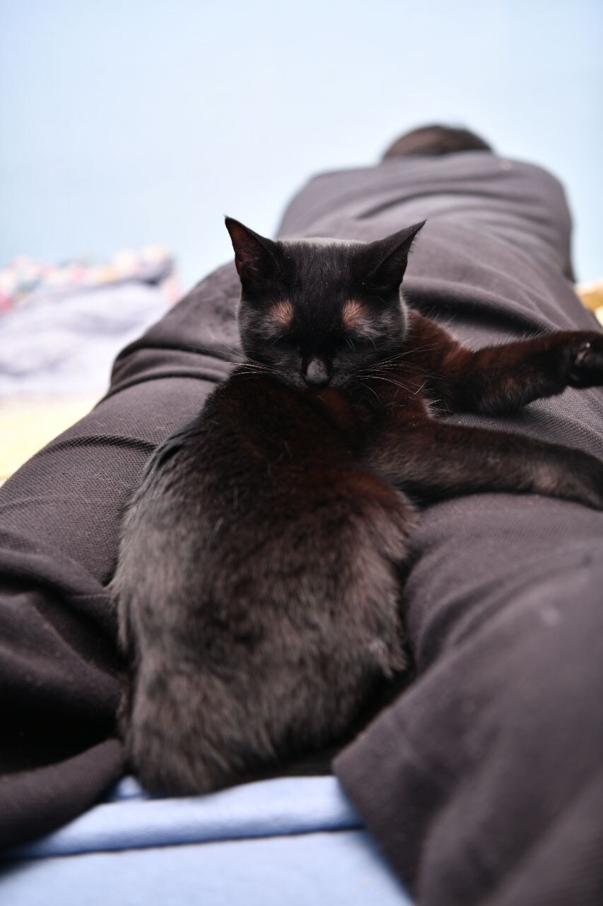 우리집 검은 똥괭이 7_9.jpg